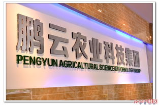 探访鹏云农业科技集团生态园 雪鹏科技引领智慧农业新未来